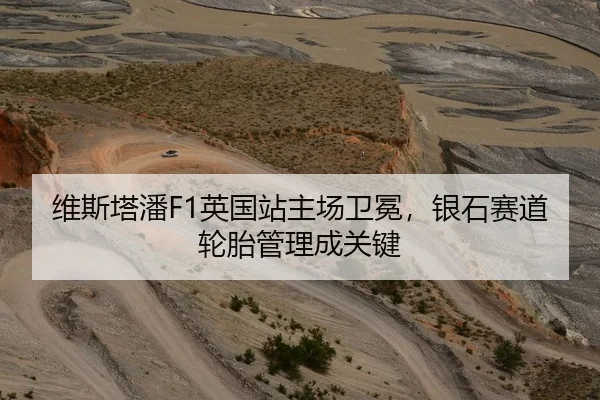维斯塔潘F1英国站主场卫冕，银石赛道轮胎管理成关键