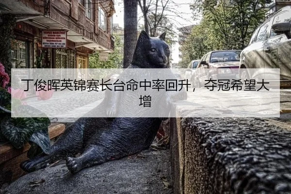 丁俊晖英锦赛长台命中率回升，夺冠希望大增