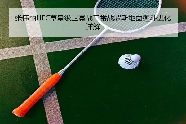 zhang-wei-li-cao-liang-ji-wei-mian-zhan-er-fan-zhan-luo-si-di-mian-chan-dou-jin-hua-xiang-jie-3-781.jpg