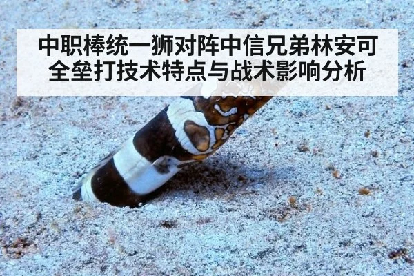 中职棒统一狮对阵中信兄弟林安可全垒打技术特点与战术影响分析